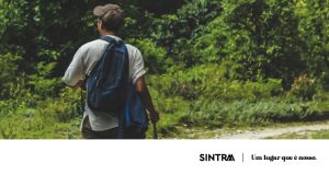 Comemorar o Dia do Ambiente a caminhar