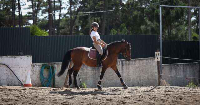 final da Taça de Portugal Dressage