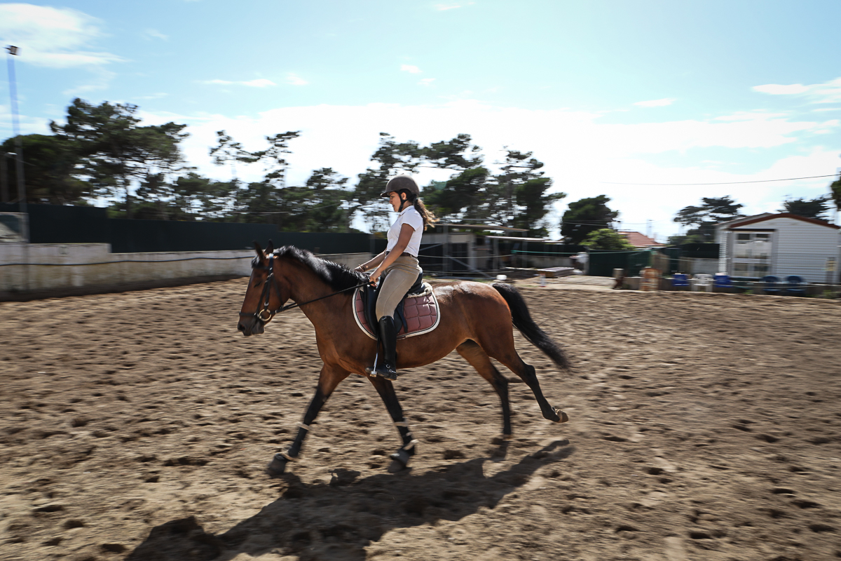 final da Taça de Portugal Dressage