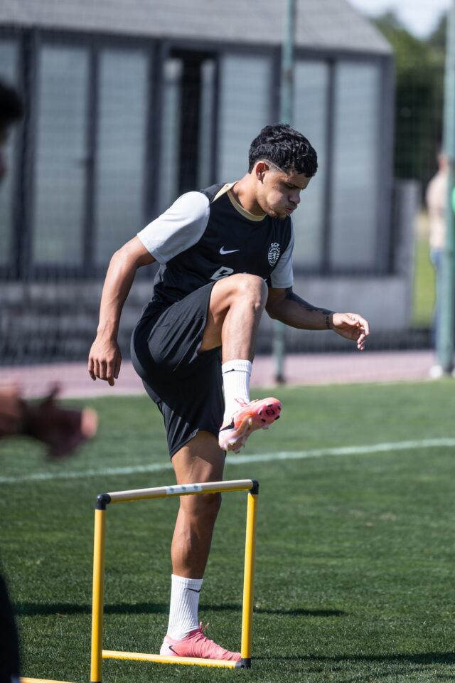 maxiaraujotreino