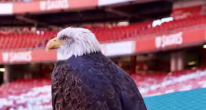 AG do Benfica aquece reino da águia