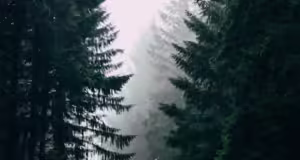 Depressão Nuria deixa todos os distritos do continente sob alerta