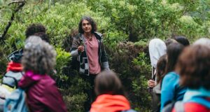 Caminhada em Sintra em busca de plantas medicinais