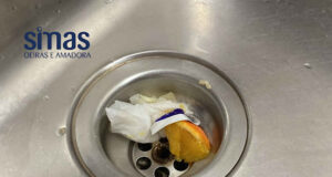 SIMAS assinala Dia Mundial da Canalização