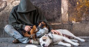 Há cada vez mais sem-abrigo nos hospitais de Lisboa