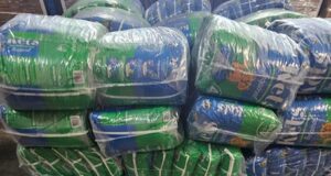 PJ apreende mais de 200 quilos de cocaína em areia para gatos no Bombarral