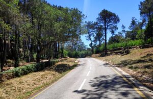 Circulação interrompida na Estrada dos Capuchos