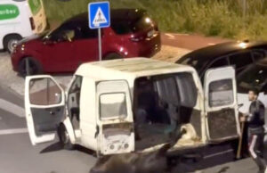 Maus-tratos a cavalo em Belas gera revolta e mobiliza autoridades