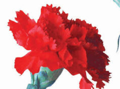 Na Escuridão a Tocha do Cravo que escreveu História