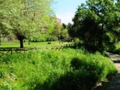 SintraAtiva: Desporto Gratuito Regressa ao Parque Felício Loureiro