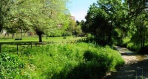 SintraAtiva: Desporto Gratuito Regressa ao Parque Felício Loureiro