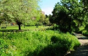 SintraAtiva: Desporto Gratuito Regressa ao Parque Felício Loureiro