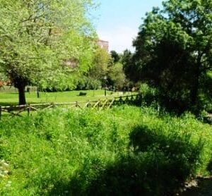 SintraAtiva: Desporto Gratuito Regressa ao Parque Felício Loureiro