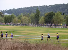 13.ª edição da Corrida Auchan regressa ao Jamor com estreias e vertente solidária