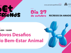 Amadora debate novos desafios do bem-estar animal amanhã